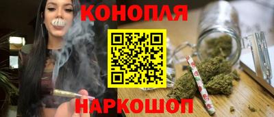 стаф Будённовск