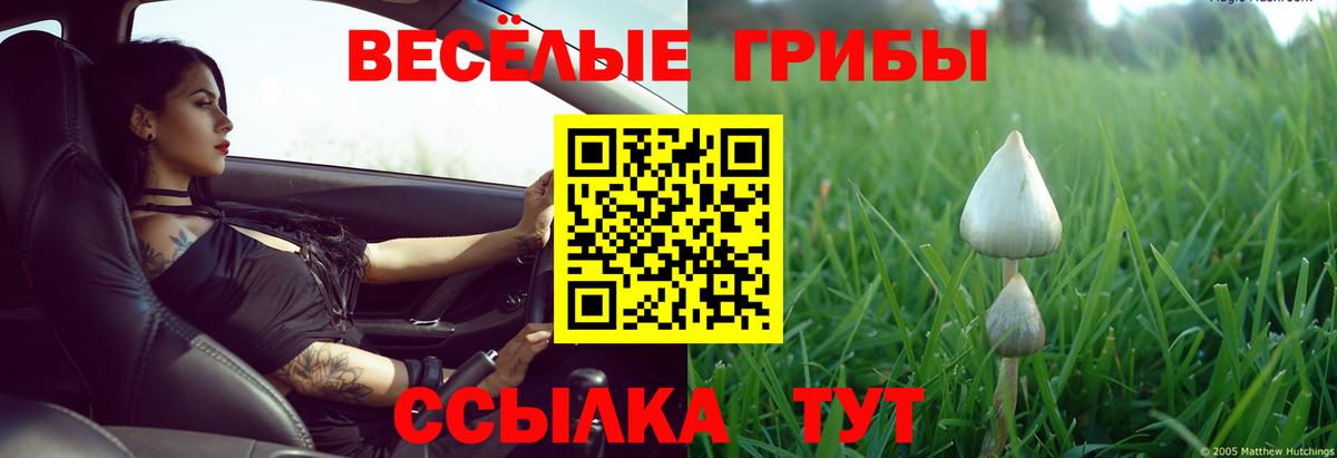 Протвино  Псилоцибиновые грибы MAGIC MUSHROOMS  Вход с VPN  Галлюциногенные грибы ЛСД 